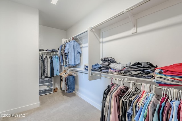 spacious closet featuring light colored carpet