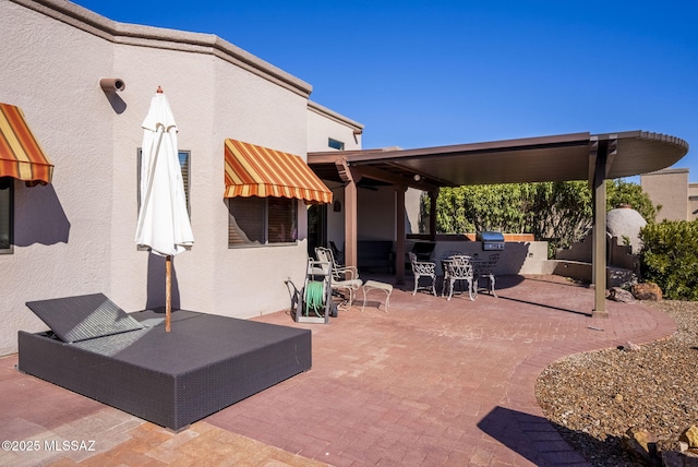 view of patio / terrace with an outdoor kitchen