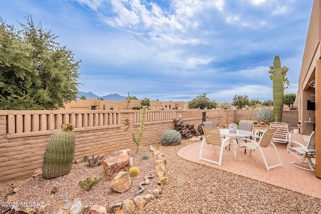 view of yard with a patio area