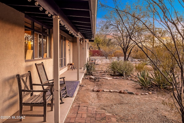 view of yard featuring a patio