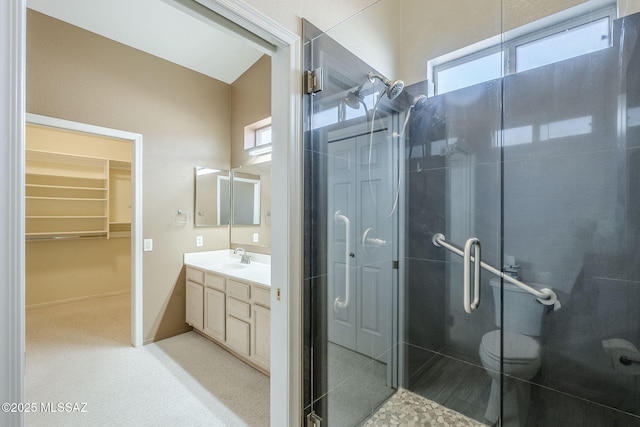 bathroom with vanity, toilet, and a shower with shower door