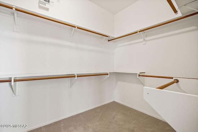 spacious closet featuring carpet flooring