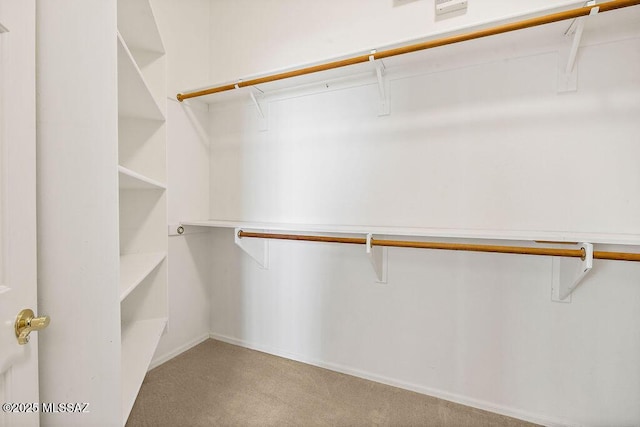 walk in closet with light carpet