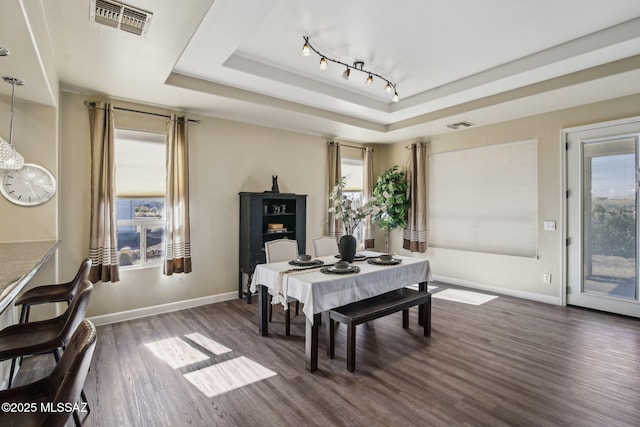 dining space with dark wood-type flooring, a raised ceiling, and a wealth of natural light