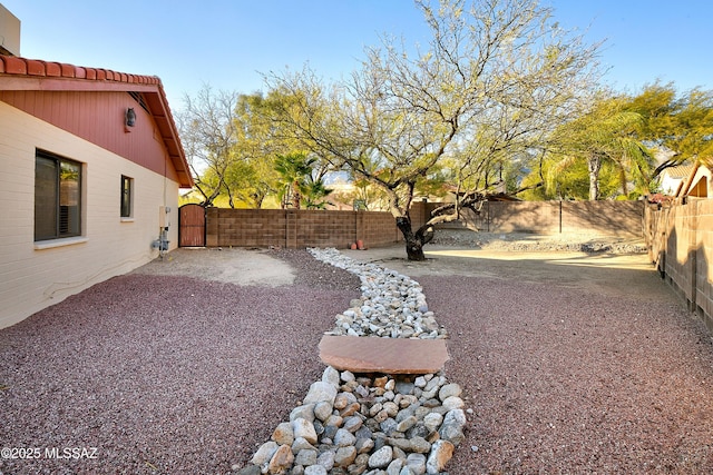 view of yard featuring a patio area