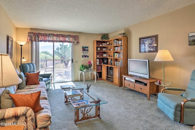 living area with a textured ceiling and carpet floors