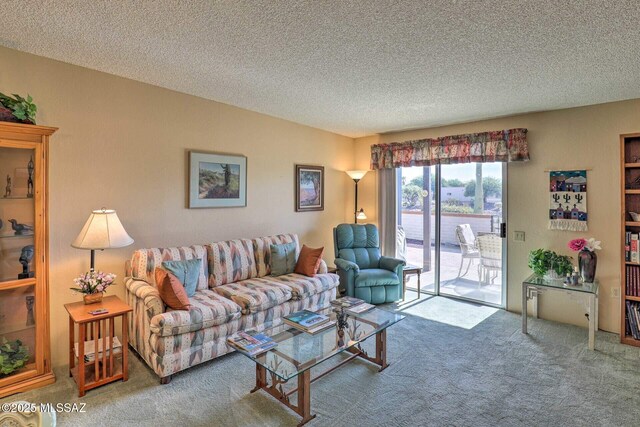 living area with carpet and a textured ceiling