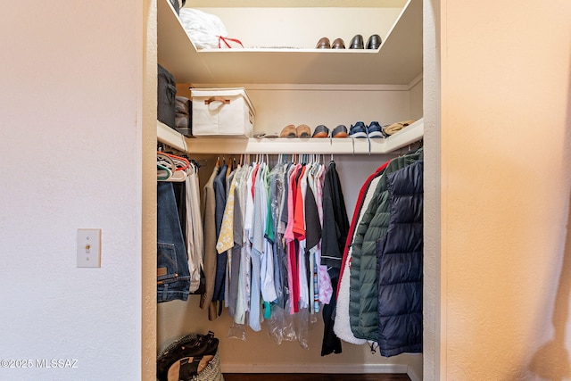 view of walk in closet