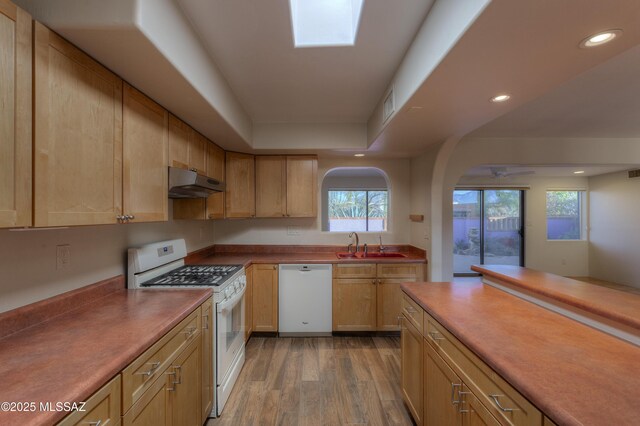 kitchen featuring light brown cabinets, sink, a wealth of natural light, and white dishwasher