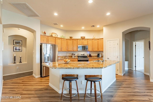 kitchen with light stone countertops, appliances with stainless steel finishes, sink, and a kitchen island with sink