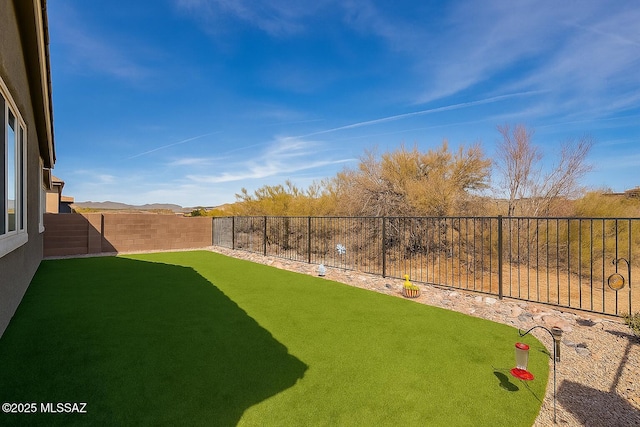 13774 N High Mountain View Pl, Tucson, AZ 85739 - view of fenced backyard