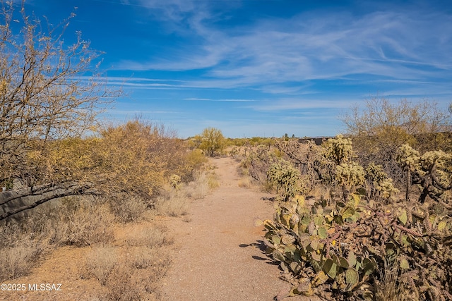 view of local wilderness