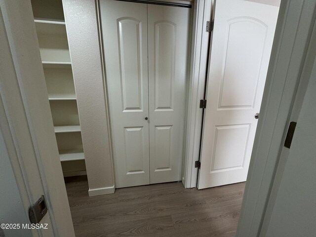 walk in closet with hardwood / wood-style floors