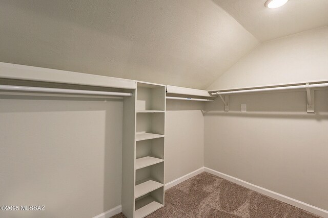 spacious closet featuring lofted ceiling and carpet floors