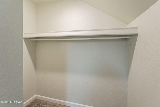 spacious closet with lofted ceiling and carpet flooring