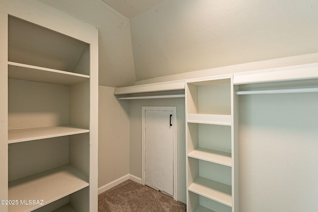 walk in closet featuring carpet floors