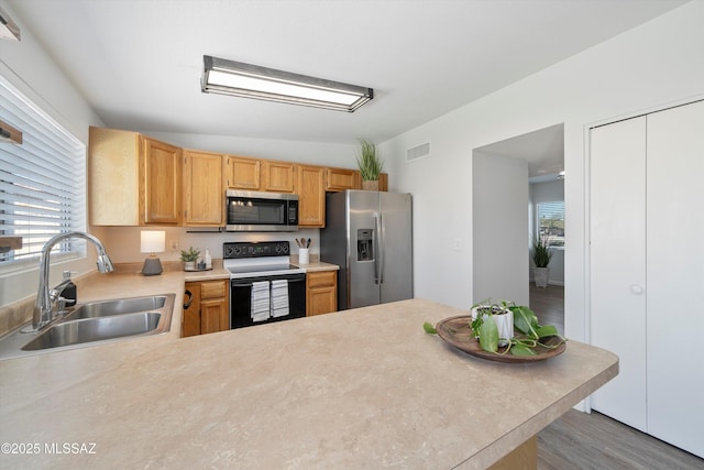 kitchen with stainless steel appliances, dark hardwood / wood-style floors, kitchen peninsula, and sink