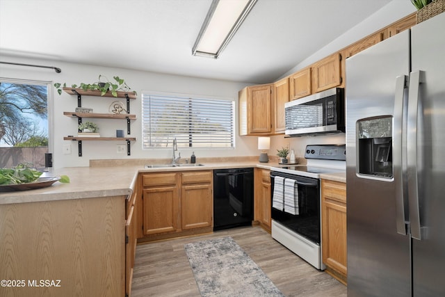 kitchen featuring sink, stainless steel appliances, and light hardwood / wood-style floors