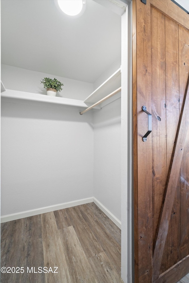 walk in closet featuring hardwood / wood-style floors