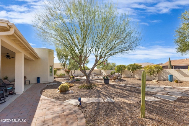 view of yard featuring a patio and ceiling fan