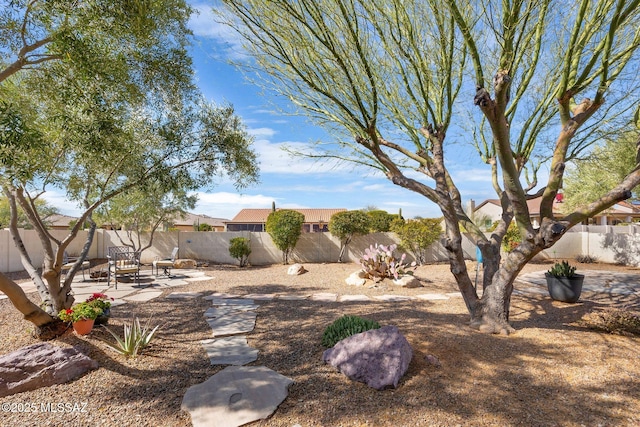 view of yard featuring a patio area