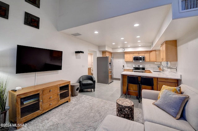 living room featuring sink