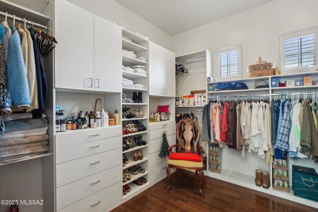 36239 S Cypress Dr, Saddlebrooke, AZ 85739 - spacious closet with dark wood-style floors