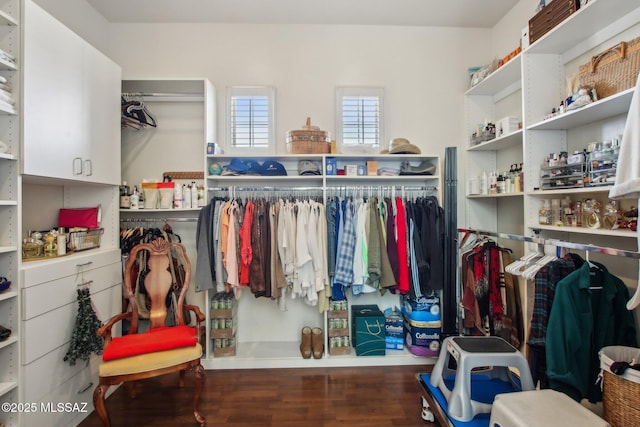 36239 S Cypress Dr, Saddlebrooke, AZ 85739 - spacious closet with wood finished floors