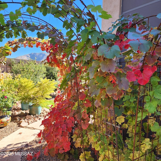36239 S Cypress Dr, Saddlebrooke, AZ 85739 - details featuring a mountain view
