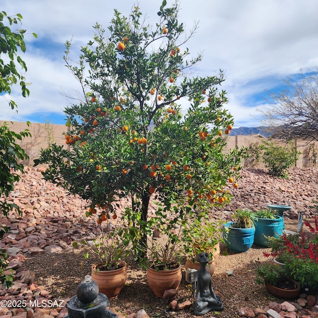 36239 S Cypress Dr, Saddlebrooke, AZ 85739 - view of yard with a fenced backyard and a mountain view