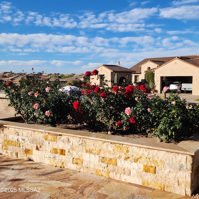 36239 S Cypress Dr, Saddlebrooke, AZ 85739 - view of yard