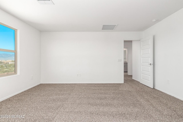 spare room with carpet floors