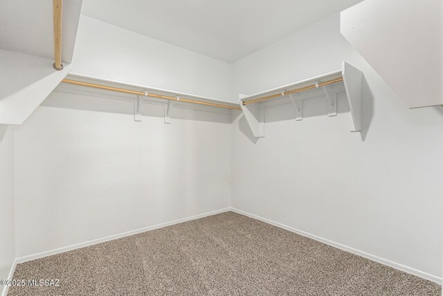 walk in closet with carpet