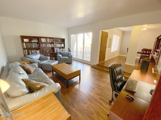 living room with hardwood / wood-style flooring