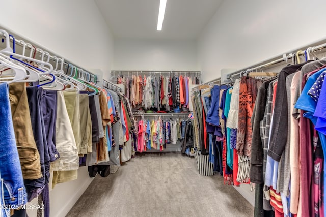 walk in closet with carpet flooring