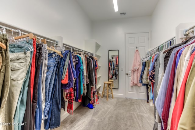 walk in closet featuring carpet floors