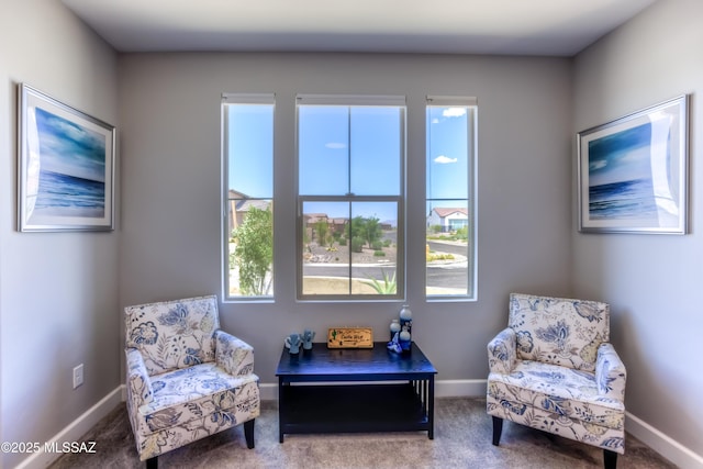 living area featuring plenty of natural light and carpet