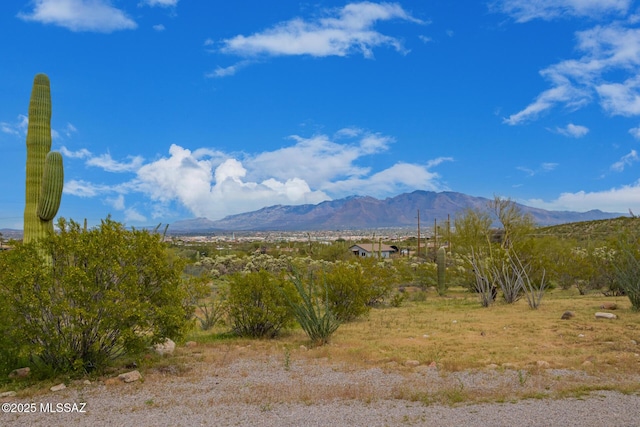5485 N Blue Bonnet Rd, Tucson, AZ 85745 - view of mountain backdrop