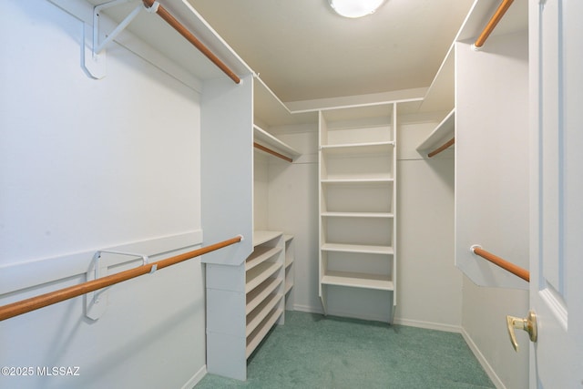 spacious closet featuring light carpet