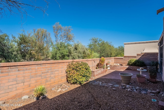 view of yard featuring a patio