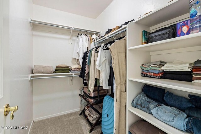 walk in closet with carpet floors