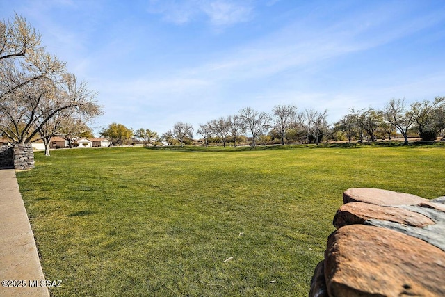 5473 W Bandtail Ct, Marana, AZ 85658 - view of grassy yard