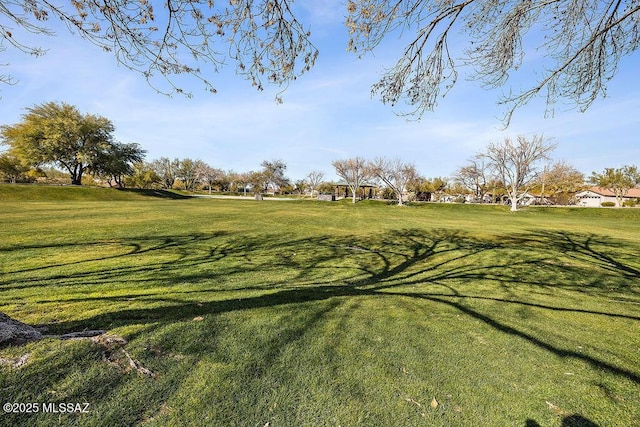 view of community with a lawn