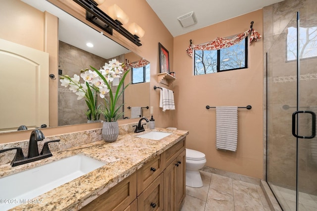 bathroom with vanity, toilet, a shower with door, and a wealth of natural light