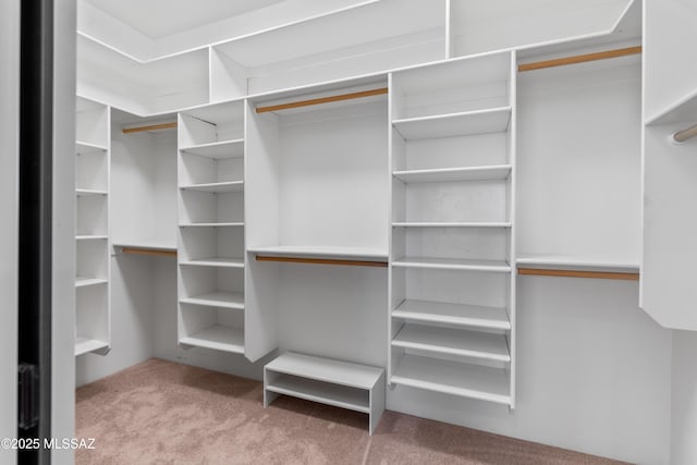 walk in closet with light colored carpet