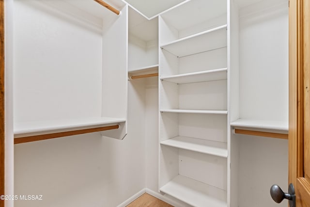 view of spacious closet