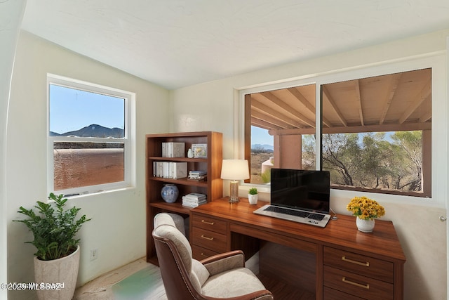 office area with a wealth of natural light