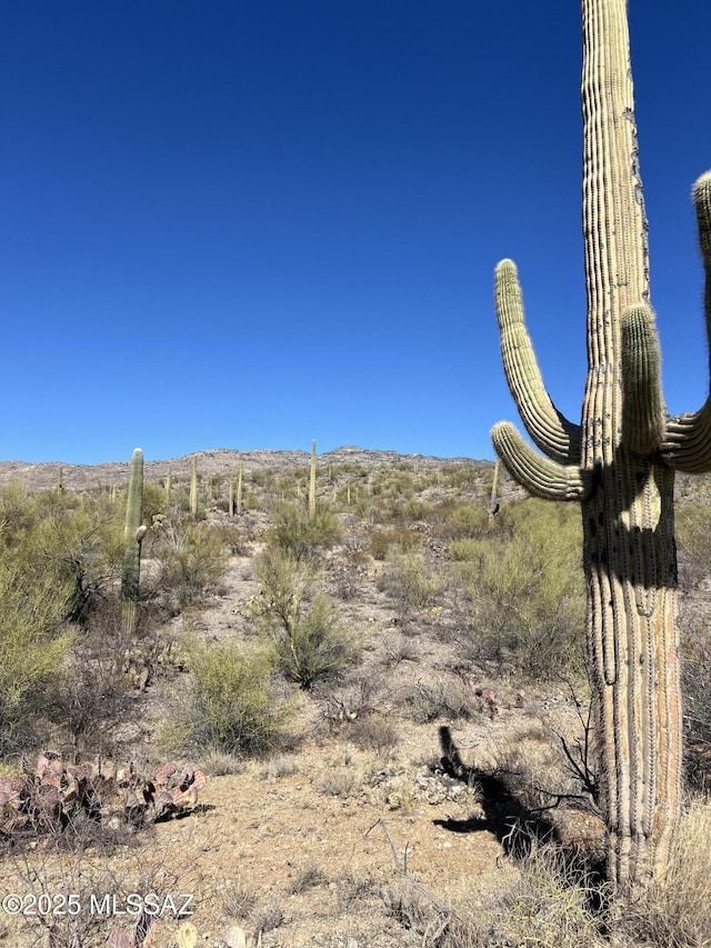 Listing photo 3 for 15175 E Rincon Creek Ranch Rd, Tucson AZ 85747