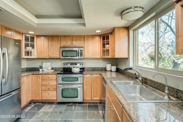 kitchen featuring sink, crown molding, light stone counters, appliances with stainless steel finishes, and a raised ceiling