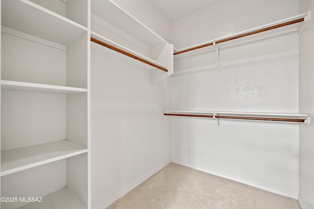 spacious closet with carpet flooring